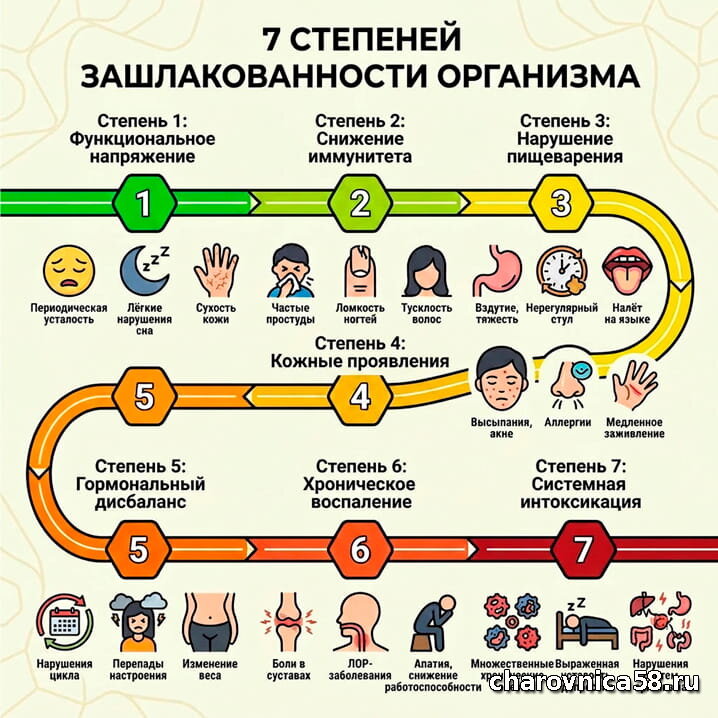 7 степеней зашлакованности