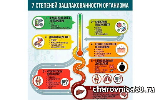 7 степеней зашлакованности
